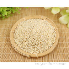 Grano de arroz 20 kg